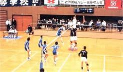 volley.jpg